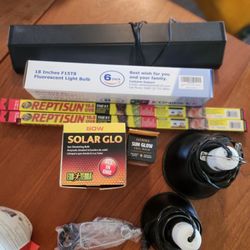 Reptile/ Bearded Dragon Set Up