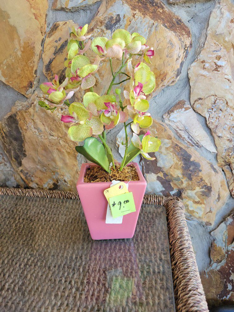 Silk Orchid In A Ceramic Pot