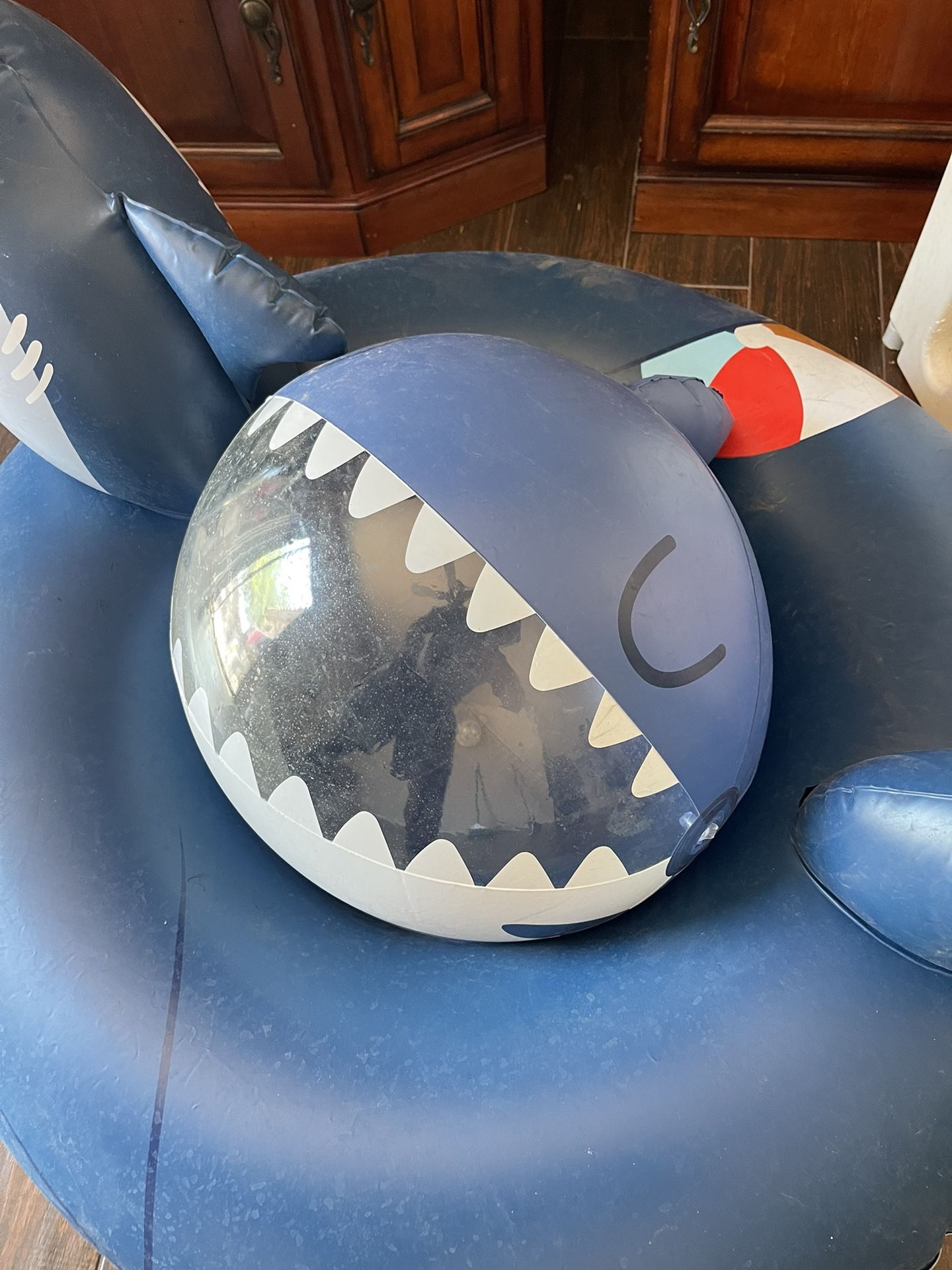 Shark Pool Inflatable