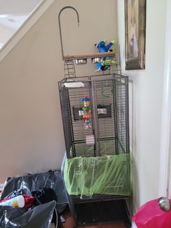 Bird Cage