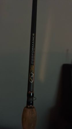 Quantum 1 piece rod