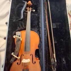 Viola