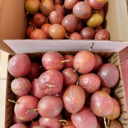Purple Passion Fruit