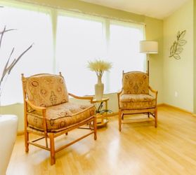 Set of Beautiful Velvet Chairs