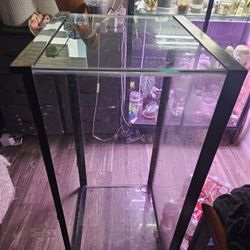 40 Gallon Tank 