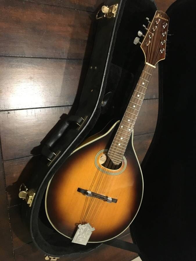 Mandolin Musical Instrument like new!