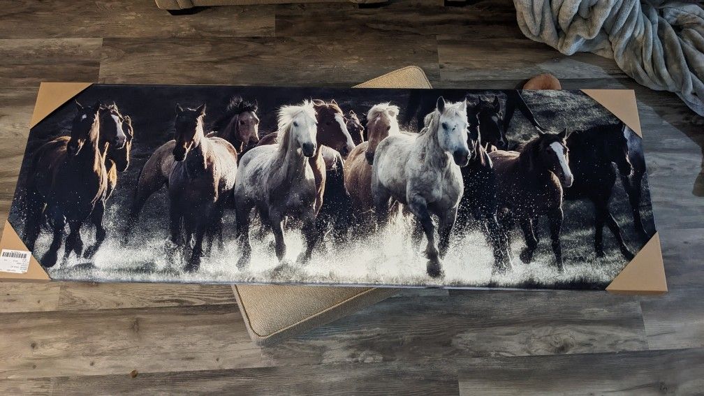 Renegade Horse Canvas Print