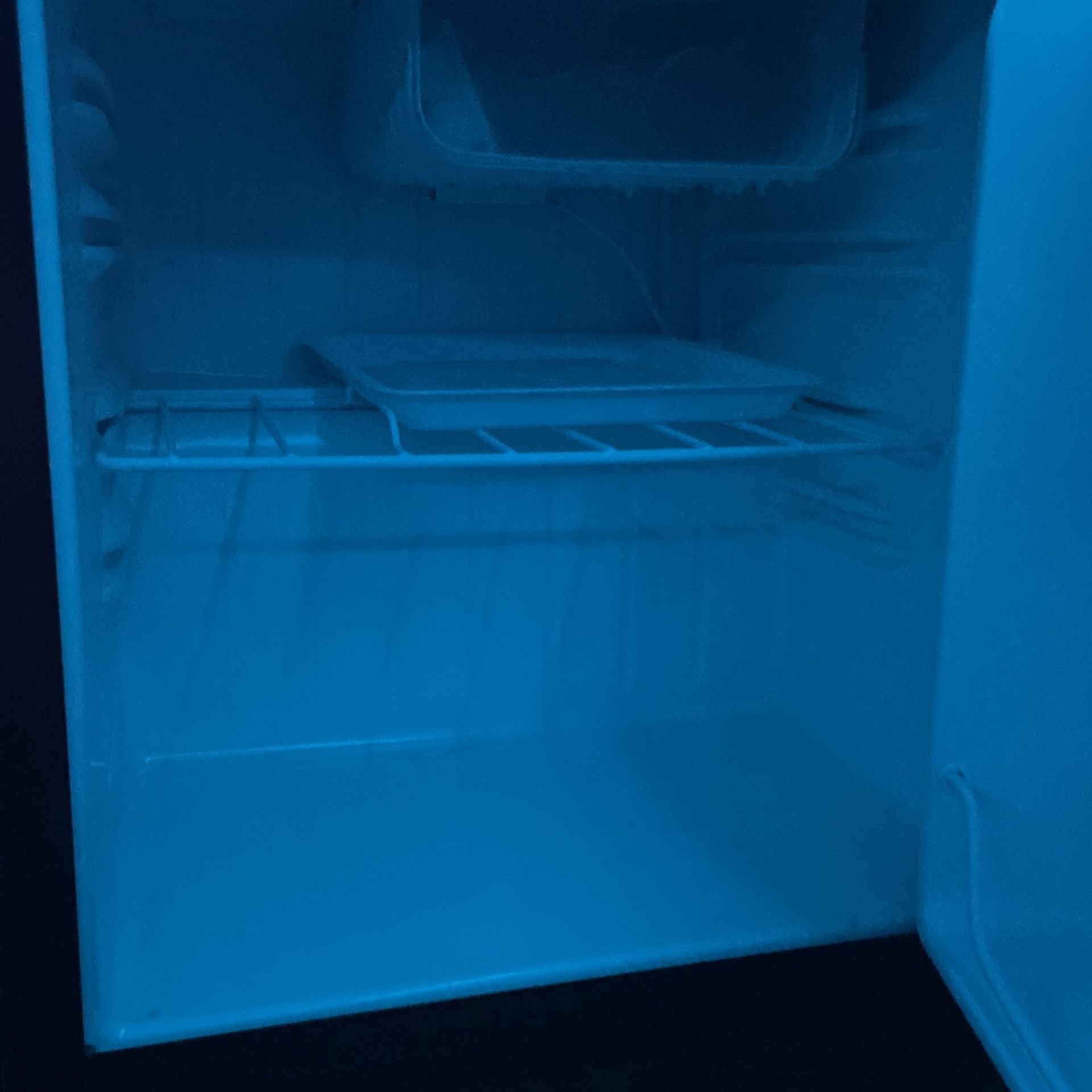 ever chill mini fridge