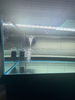 65 gallon tank