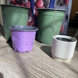 Pots (FREE)