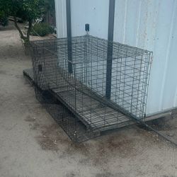 Dog Cage 