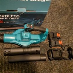 Cordless Leaf Blower 20v Lithium 2x Battery 