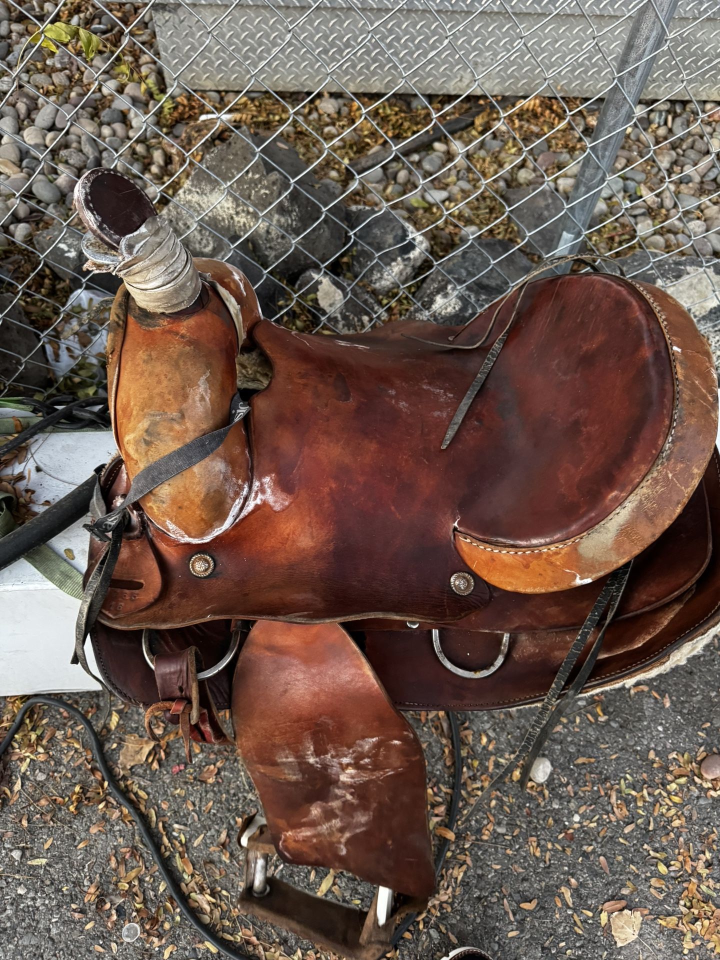 Horse Sattle