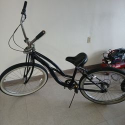 Vintage Schwinn