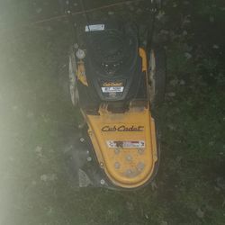 Cub Cadet St 100