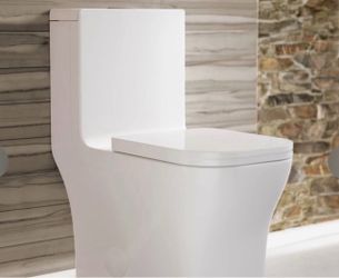 Swiss Madison One Piece/Without Lid and Seat.