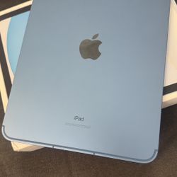 iPad 10th Generation 256gb