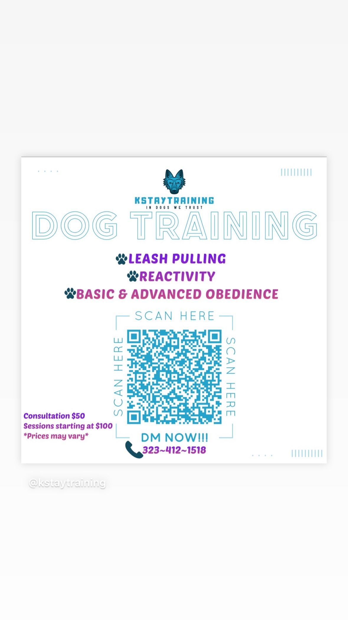 Dog Training