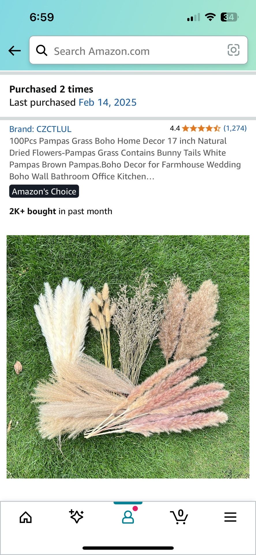 Pampas Grass