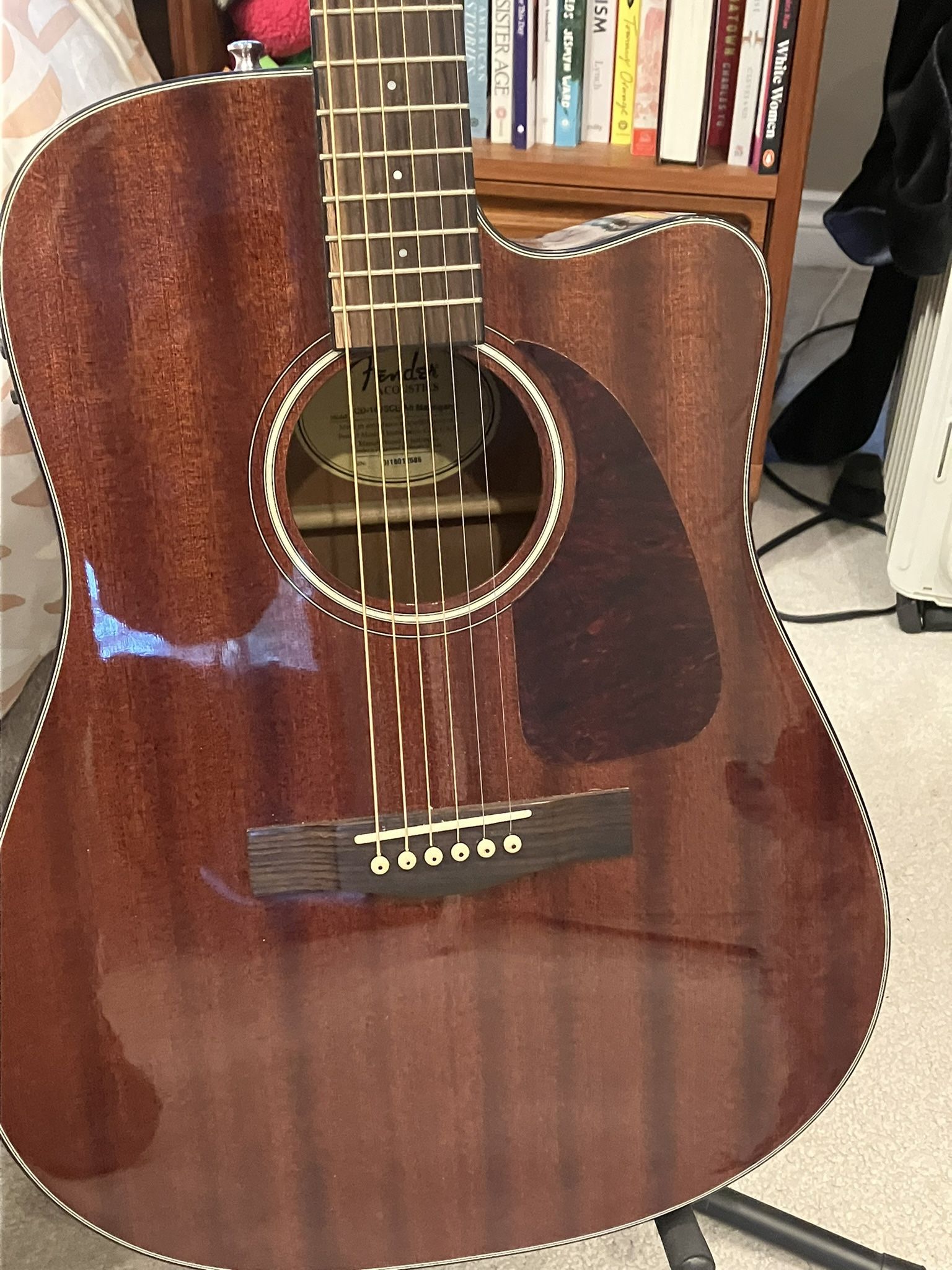 Fender Acoustic-Electric 6-string - Lower price