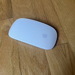  Magic Mouse 2 (Wireless and Rechargeable) 