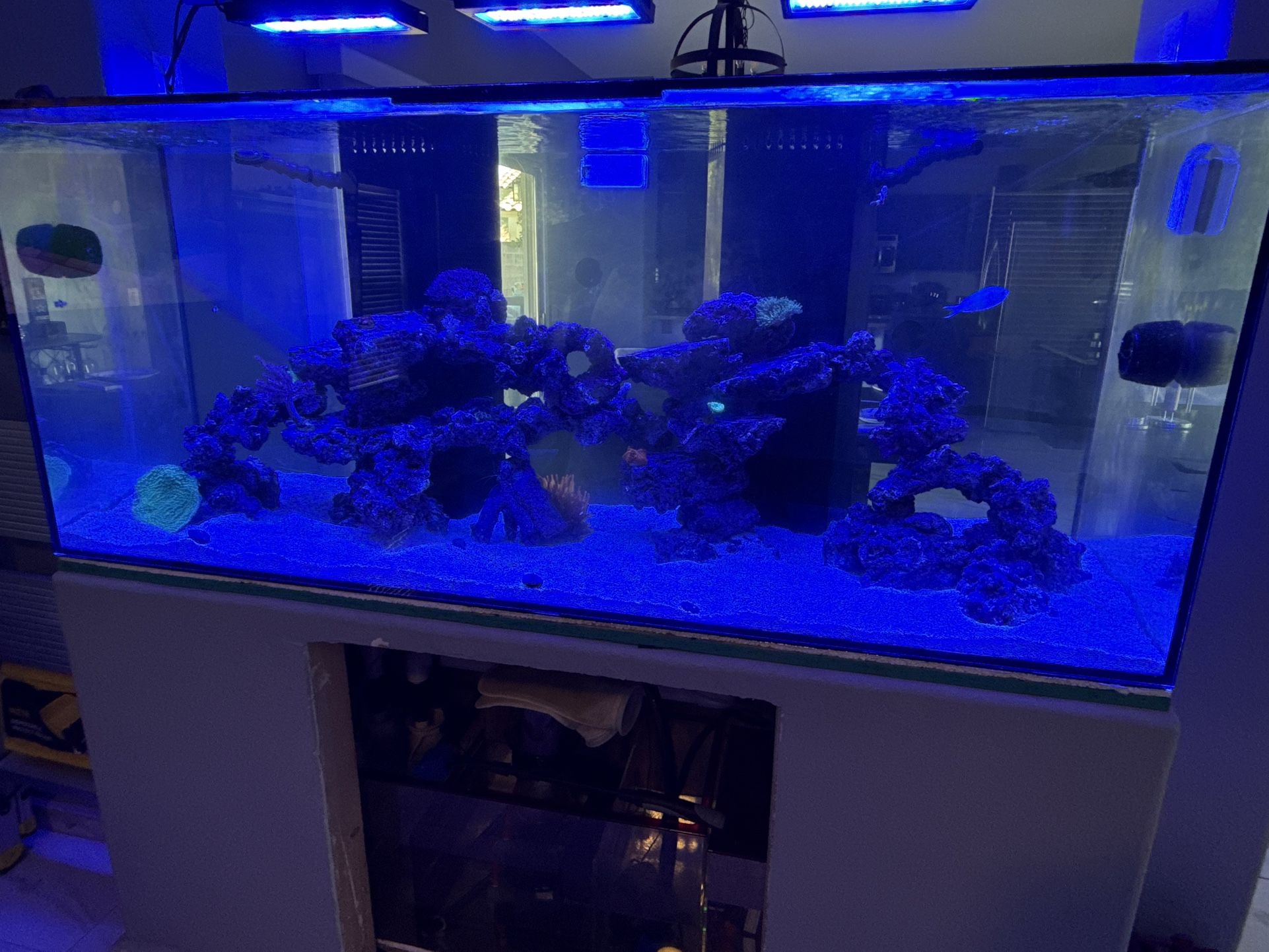230 Gallon Glass Aquarium 