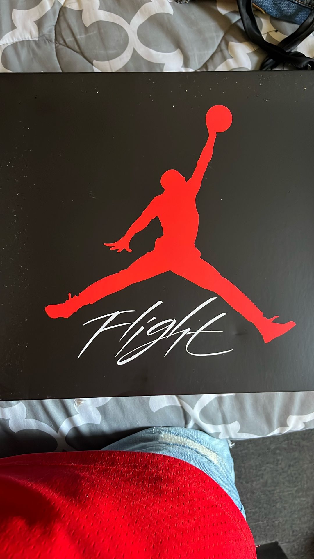 Jordan 4 (Cement ) Size 12 DS
