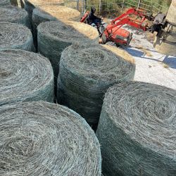Hay