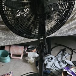 Lasko Fans with remotes