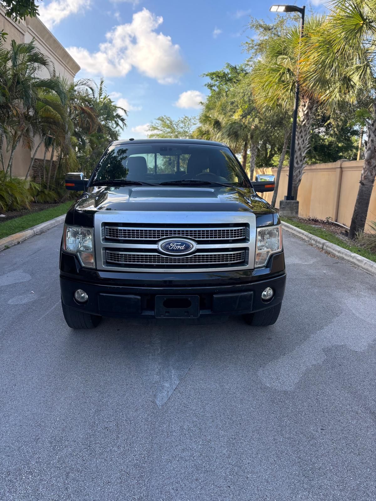 2010 Ford F-150