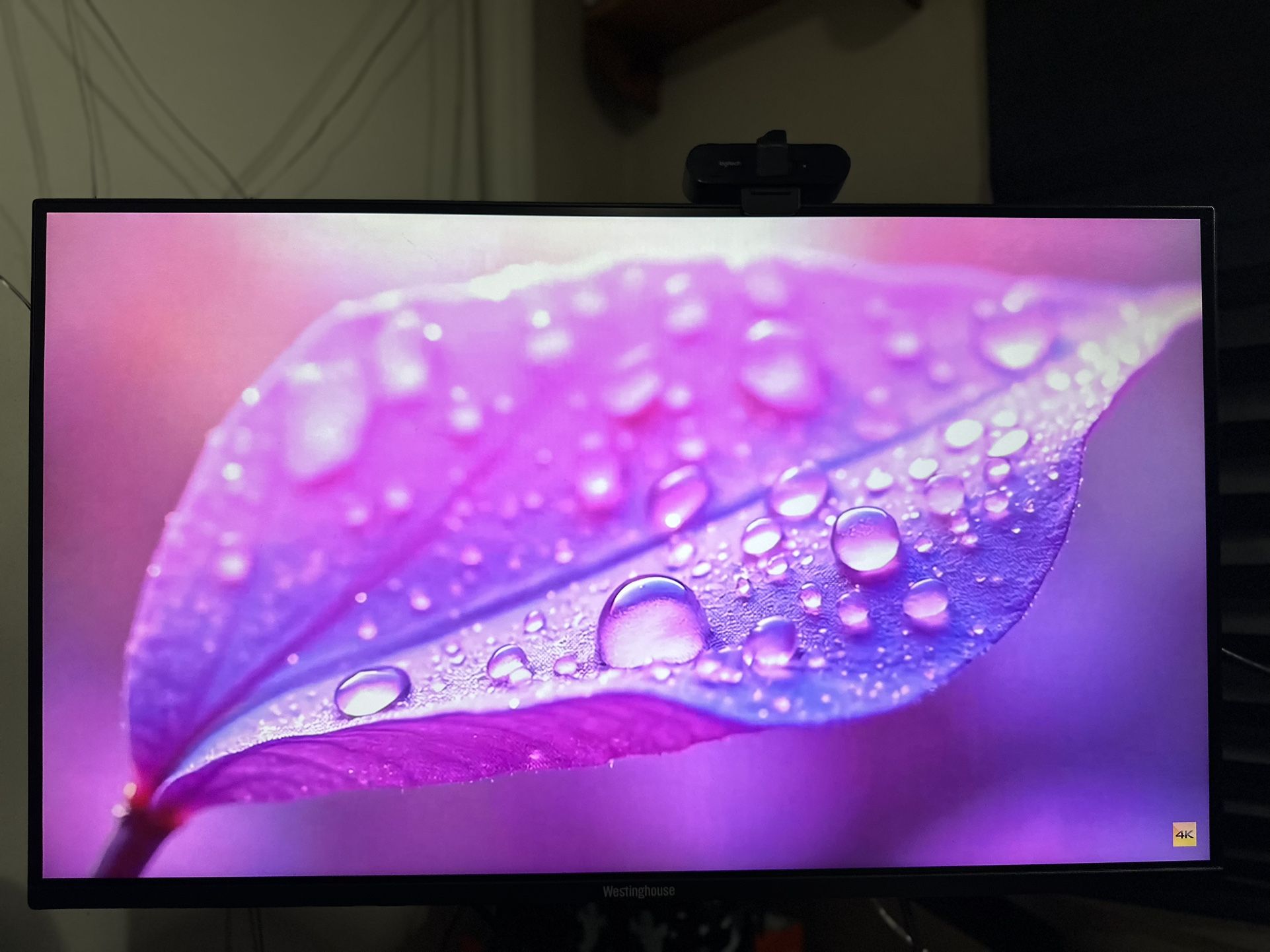 4K Monitor