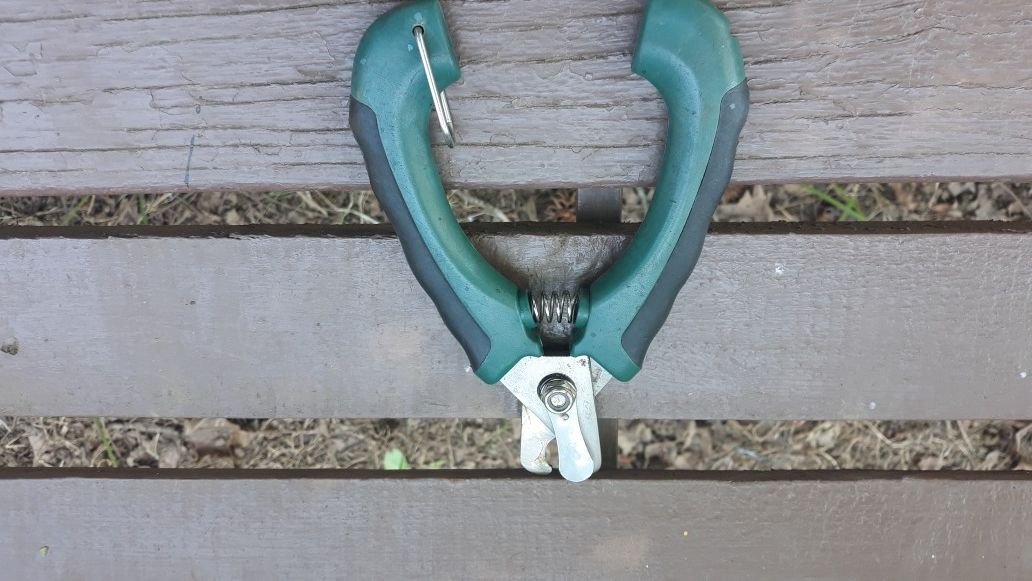 DOG NEIL CLIPPERS STANLEY STEEL