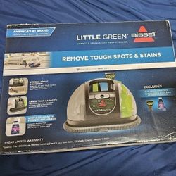 Lil Green Vacuum For Pet Stains