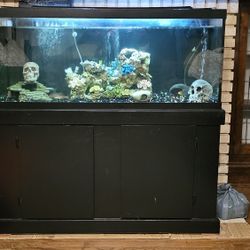 Fish Tank