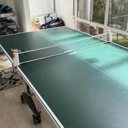 Indoor/Outdoor Ping Pong Table 