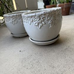 Planters Plant Pots