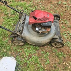 Little Work Horse.. Powerful Lawnmower!