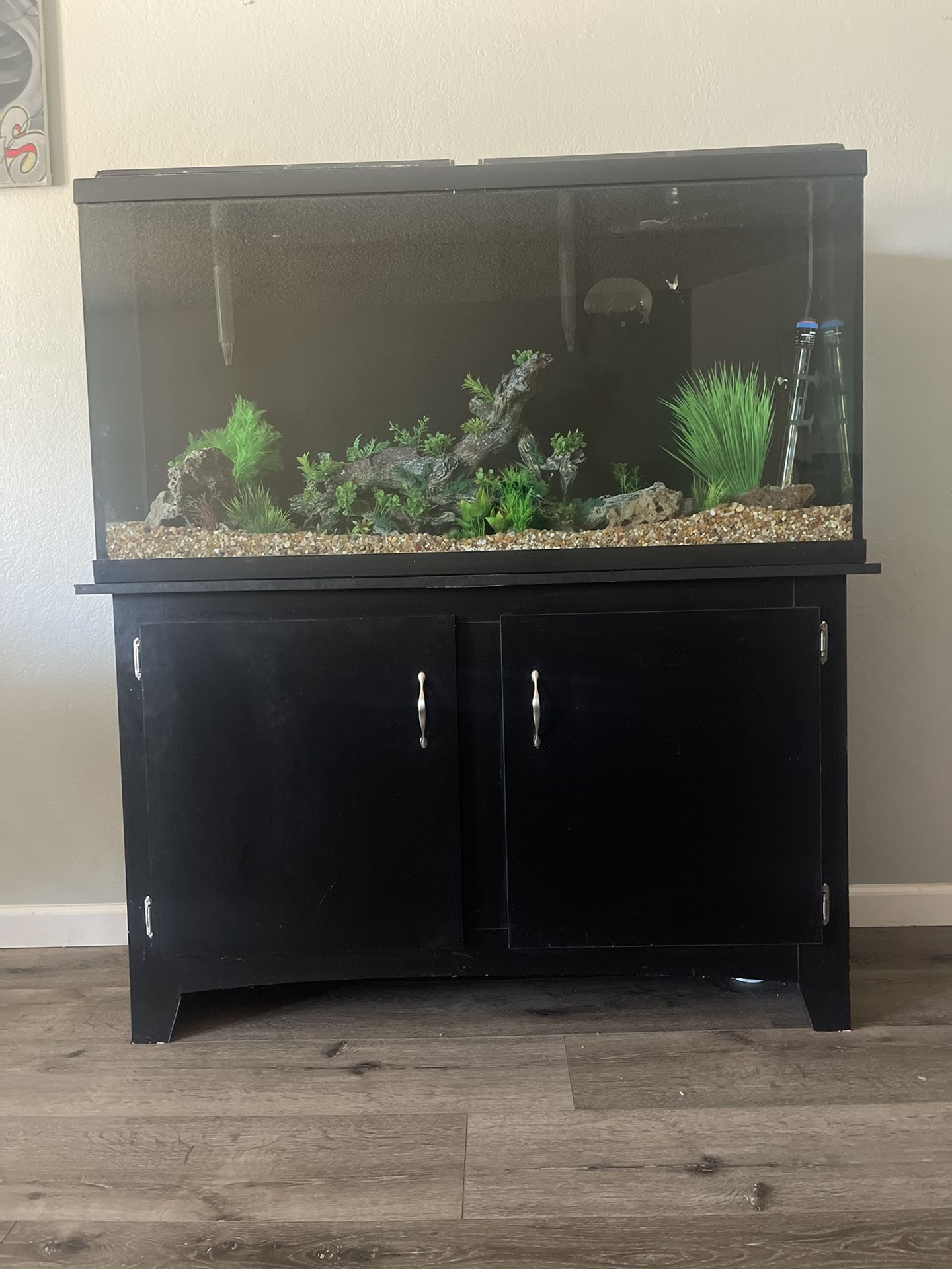60 gallon aquarium, fish tank$160 there is no scratches No Leak