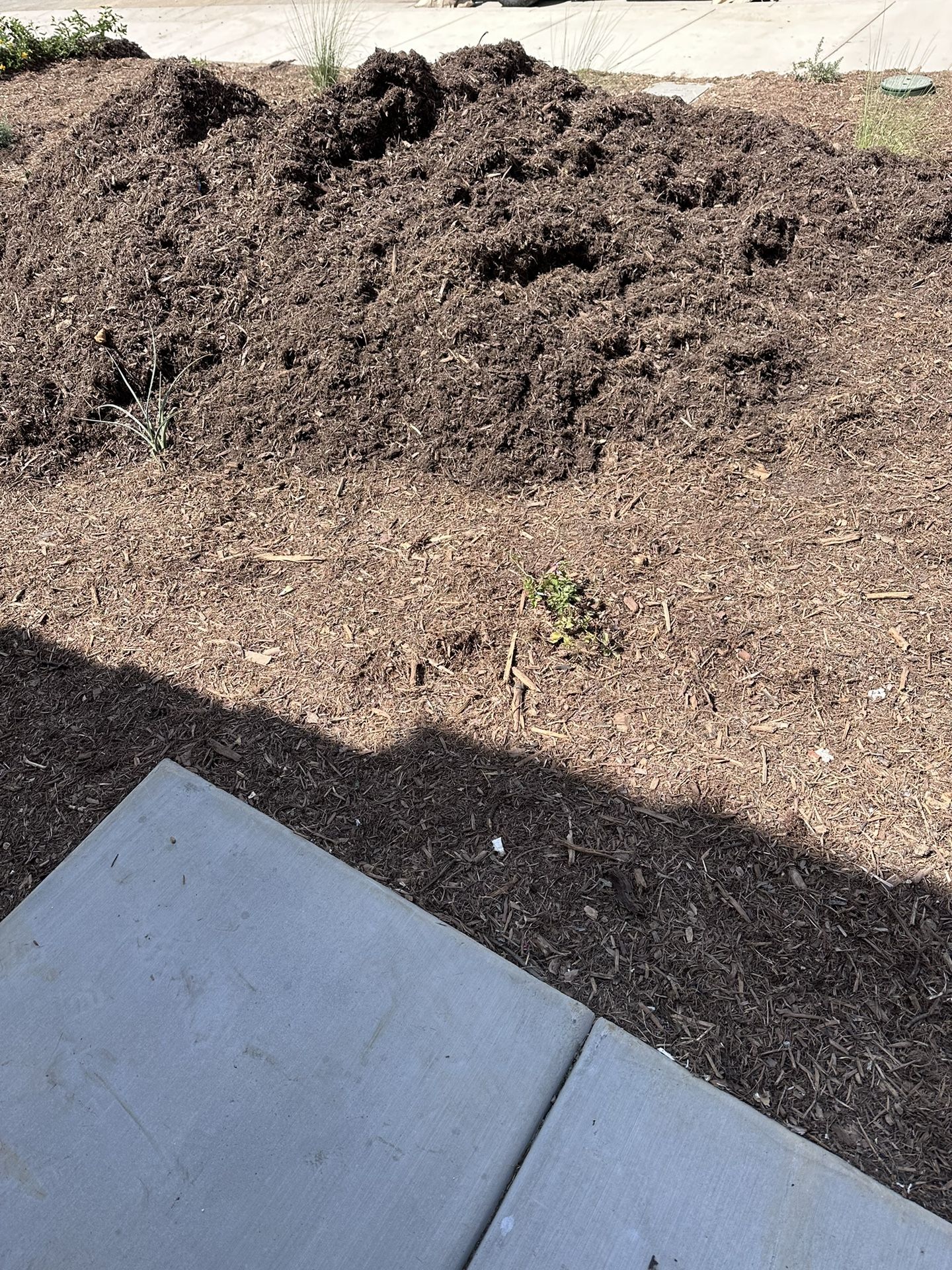 Free Ground Cover Mulch 