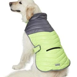 Dog Jackets And Collar