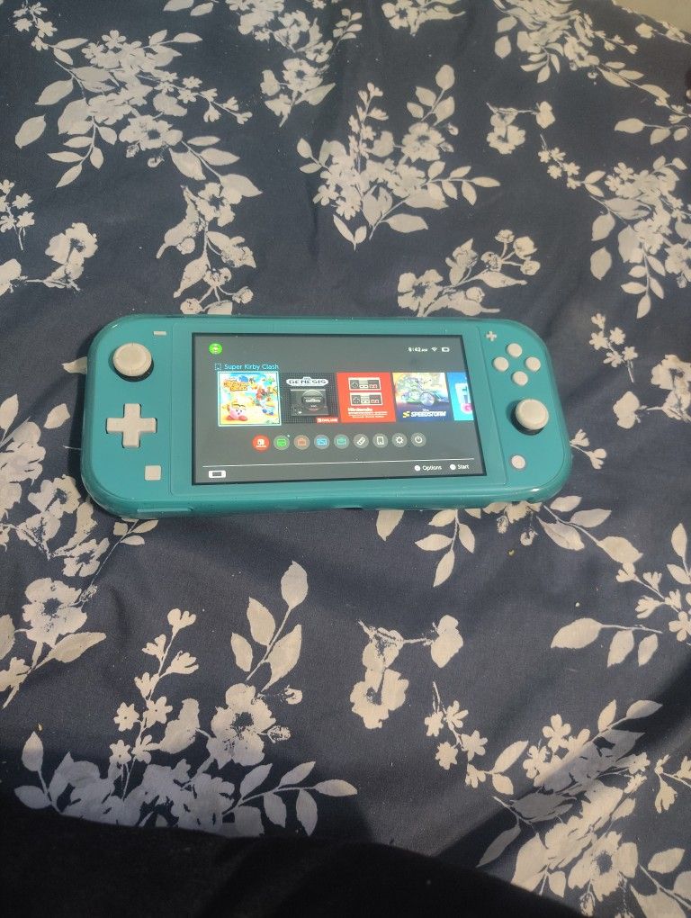 Nintendo Switch Lite