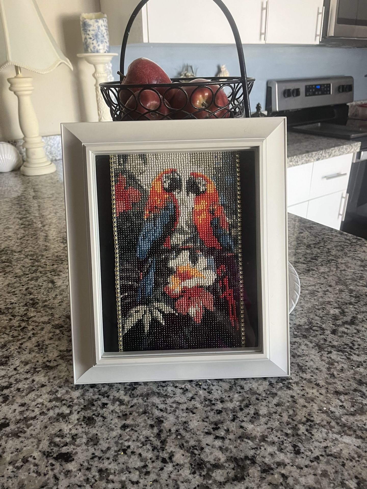 Diamond Dot Pic Of Parrots W/New Frame Hand Made