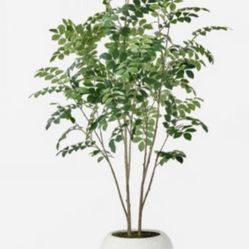 Threshold Studio McGee Moringa Artificial Tree – 6ft – Brand New