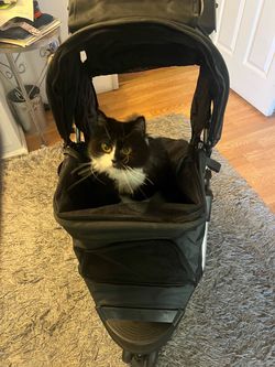 Dog or cat Stroller