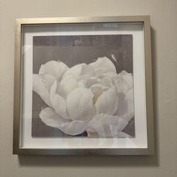 Peony Flower Wall Art With Silver Frame 
