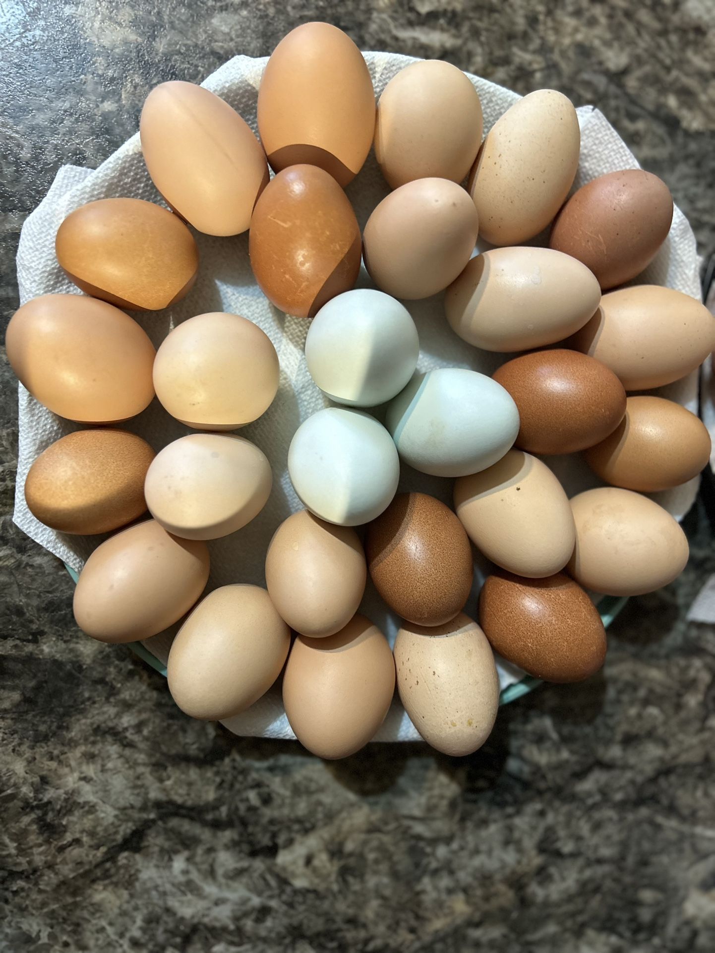 Chicken Eggs