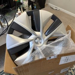 Tesla Model Y Gemini Wheel Cover Hubcaps OEM