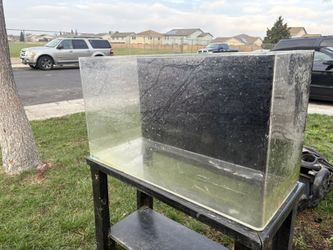 Fish Tank