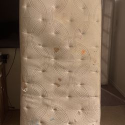 Twin Bed And Box Spring For Free