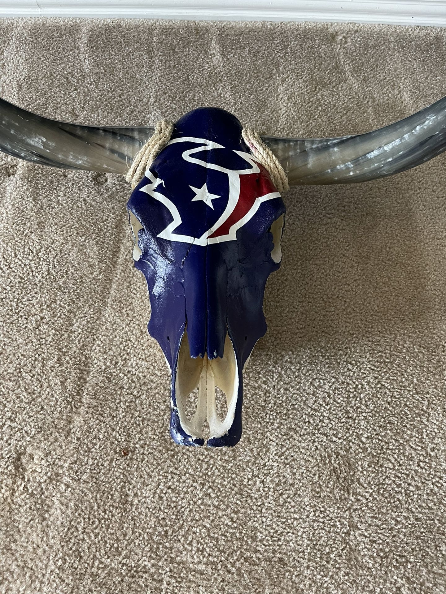 Houston Texans Bull